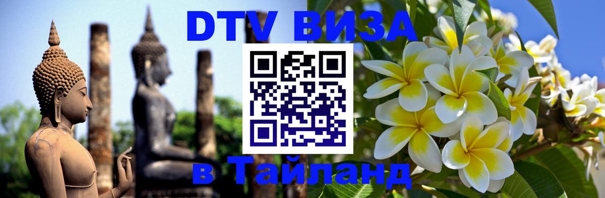 Сколько стоит DTV виза — актуальные цены, оформление даже без документов - 19.11.2025 